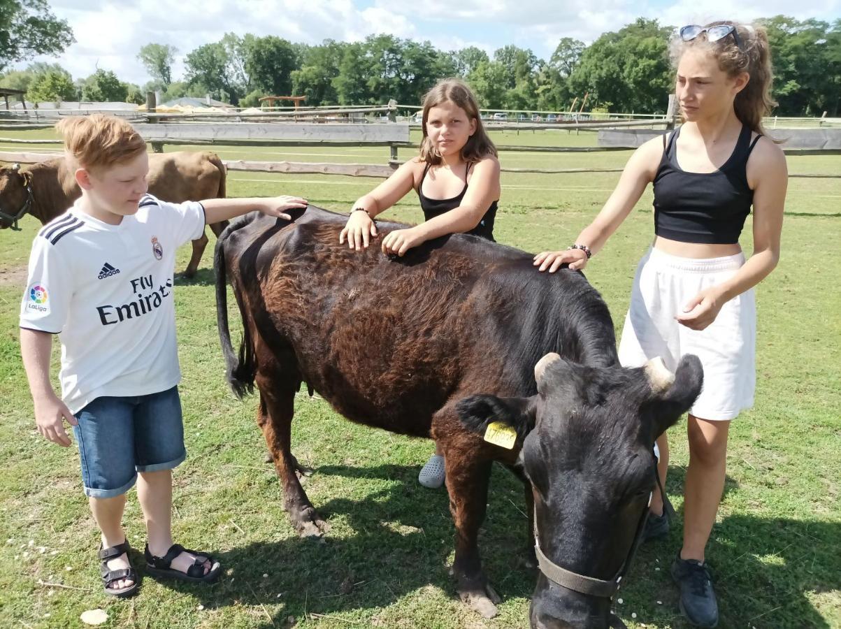 ZOOPARK Zelčín Vila Mělník Exterior foto