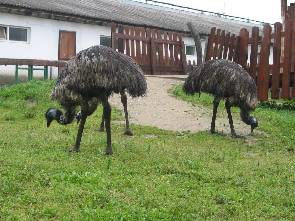ZOOPARK Zelčín Vila Mělník Exterior foto