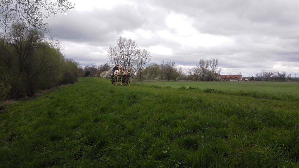 ZOOPARK Zelčín Vila Mělník Exterior foto
