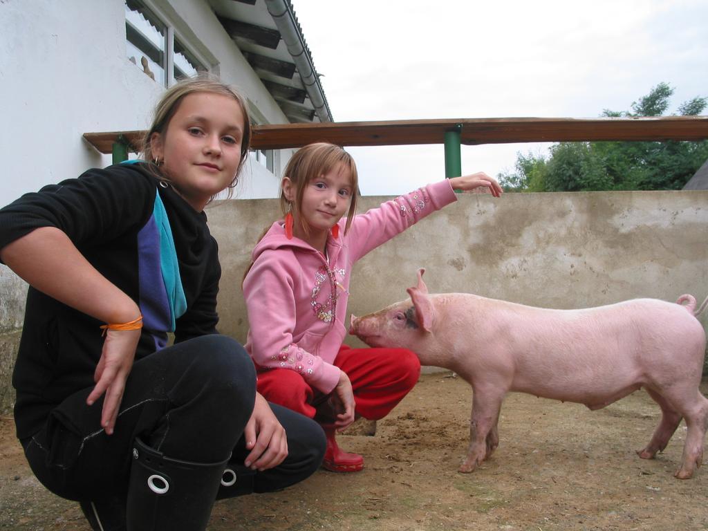 ZOOPARK Zelčín Vila Mělník Exterior foto