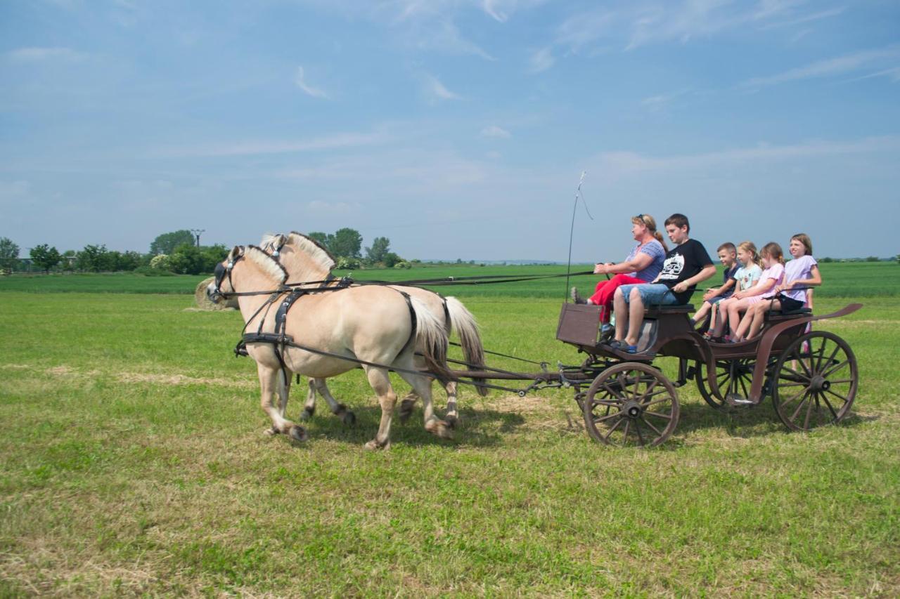 ZOOPARK Zelčín Vila Mělník Exterior foto